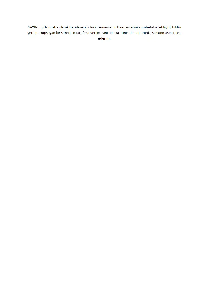 Evrak sayfa 2.